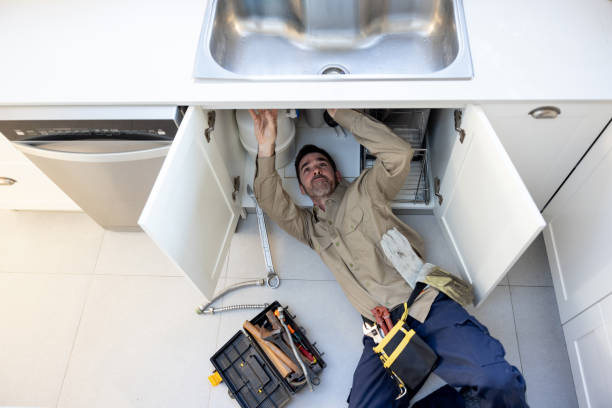 Best Local Plumber Services  in Carpendale, WV