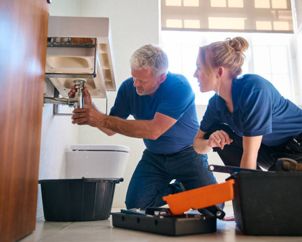 Best Local Plumber Services  in Carpendale, WV